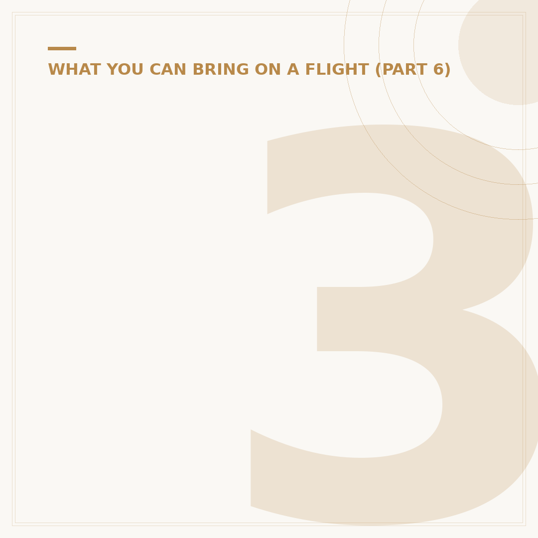 30000 mAh Power Bank: Can You Carry It On A Flight?