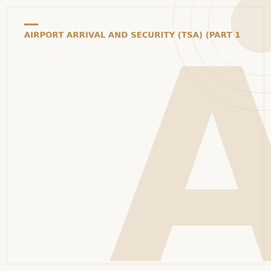 Aer Lingus: How Long Before Your Flight?