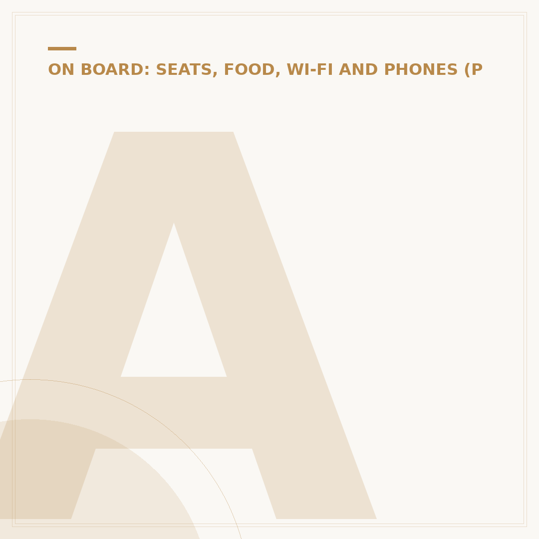 Aer Lingus In-Flight Entertainment: What to Expect