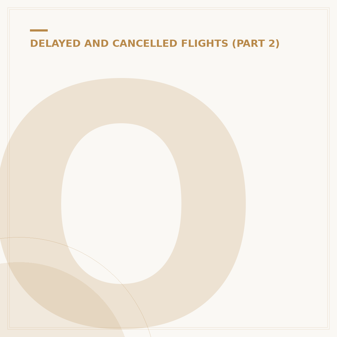 Options When an Airline Cancels Your Flight