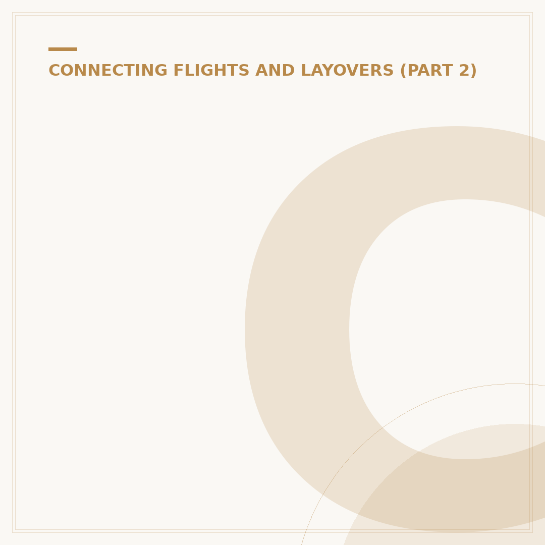 Can We Go Out of the Airport During a Connecting Flight?