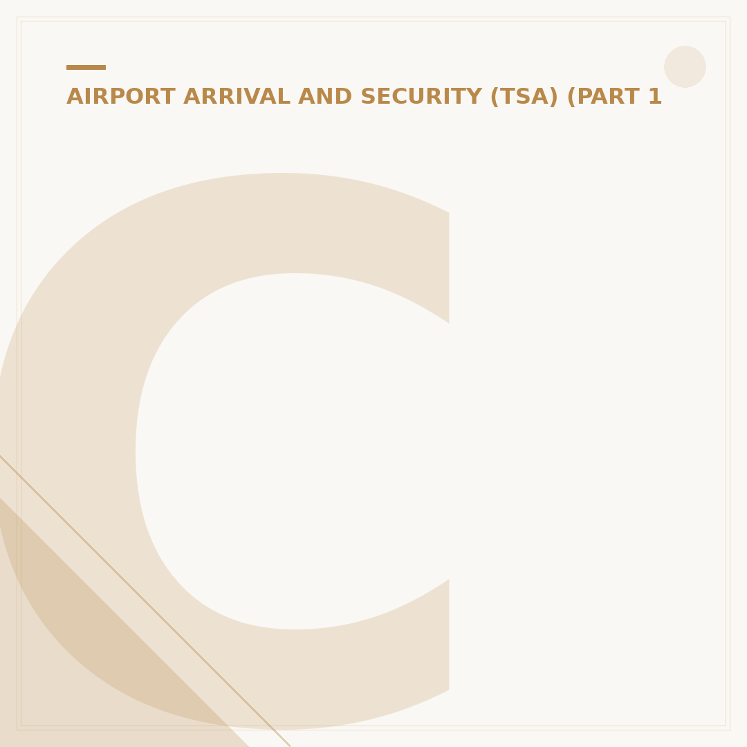 Can You Go Through Airport Security Without a Flight?