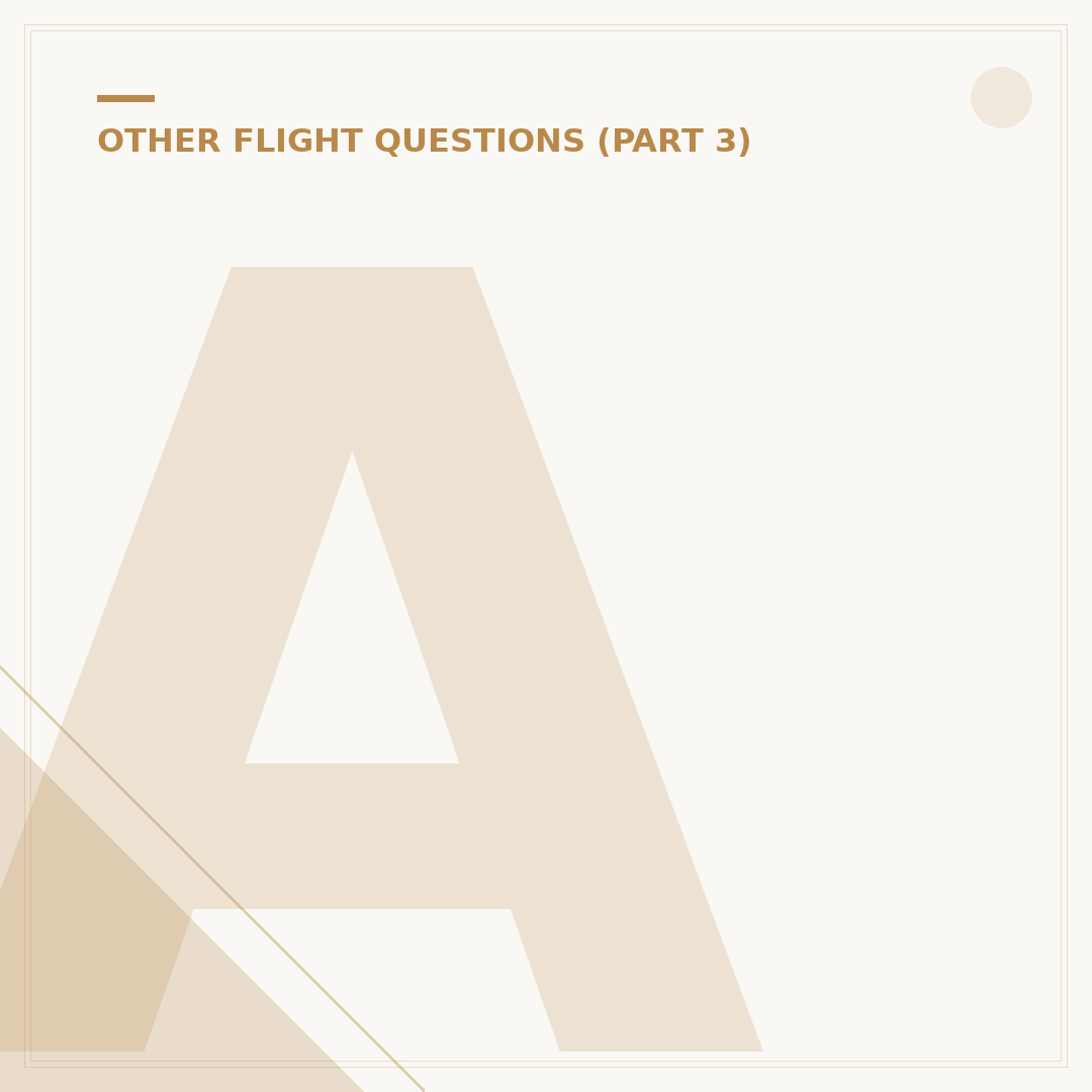 Alaska Airlines Flight Code: What AS Means