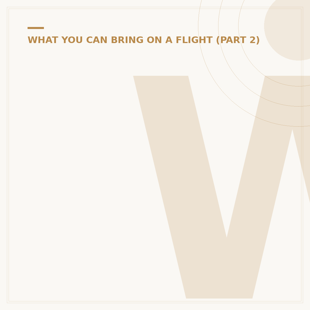 What Am I Allowed to Take on a Flight?