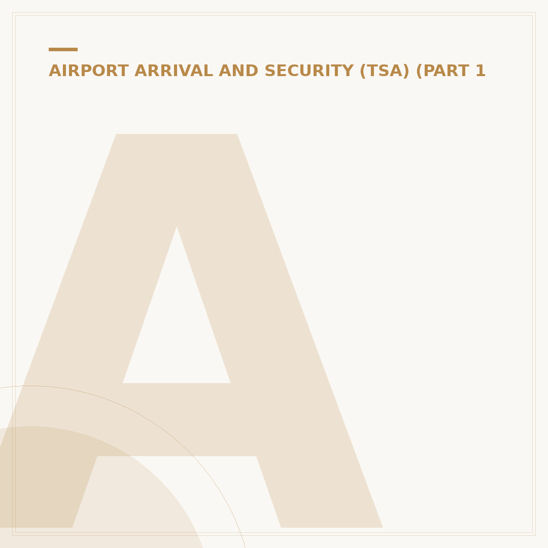 American Airlines: How Long Before Flight?