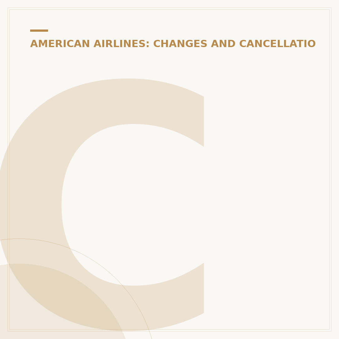 Can I Use Someone Else's American Airlines Flight Credit?