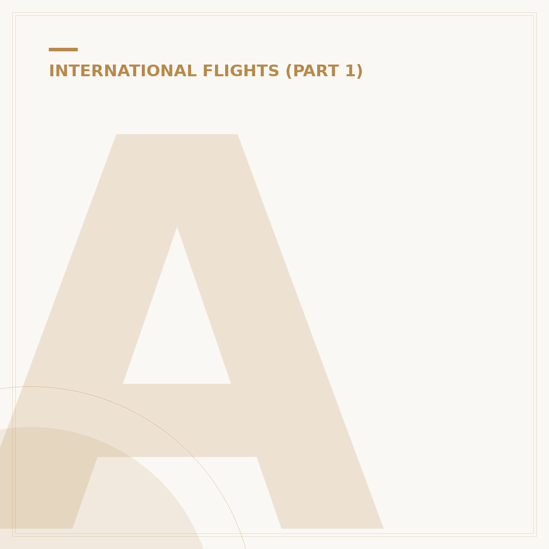 American Airlines: Verify 13 New International Flight Routes
