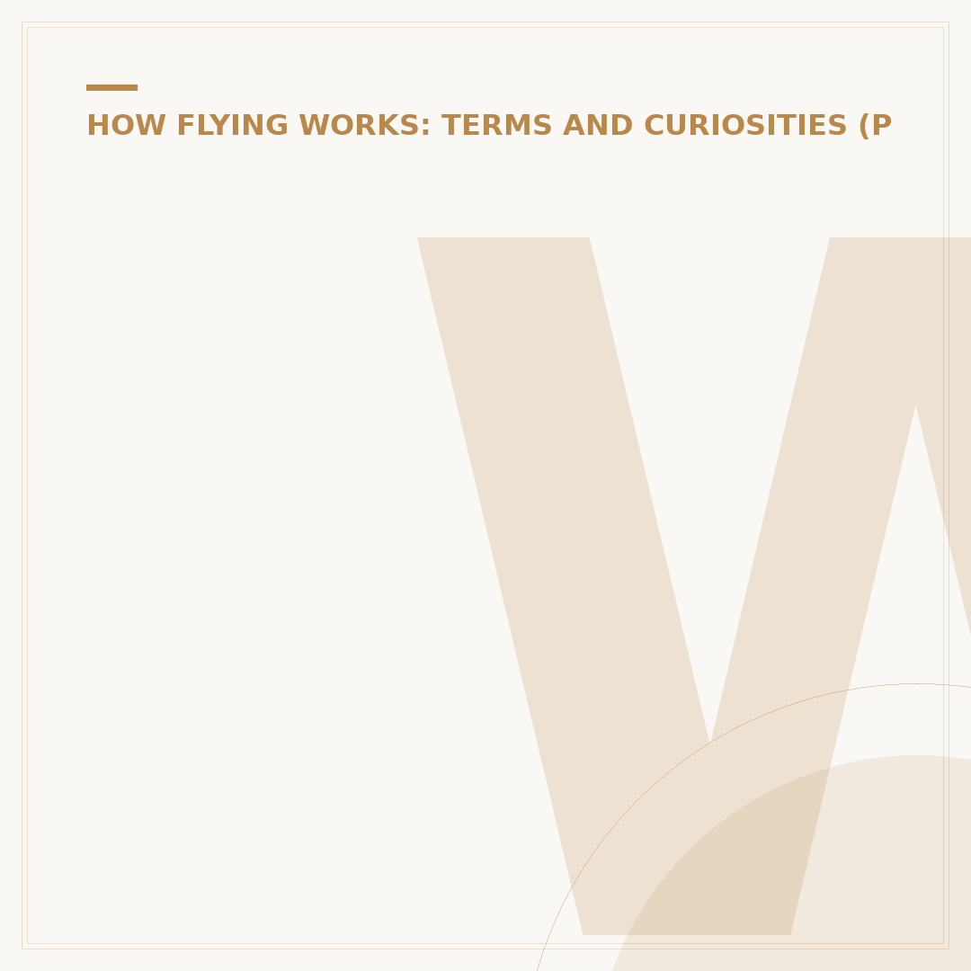 What Does Anytime Flight Mean on Southwest?