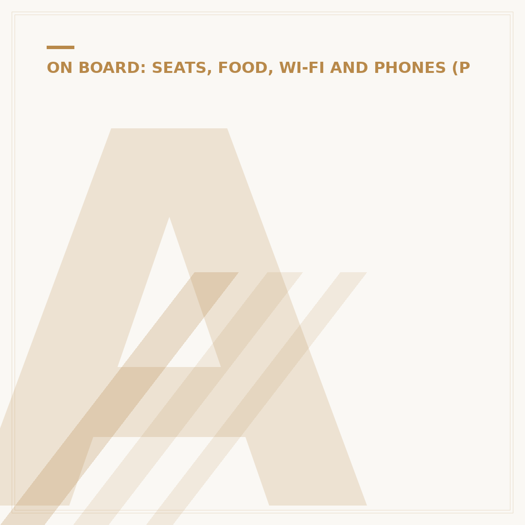 Are Back Seats Good in Flight? What to Know