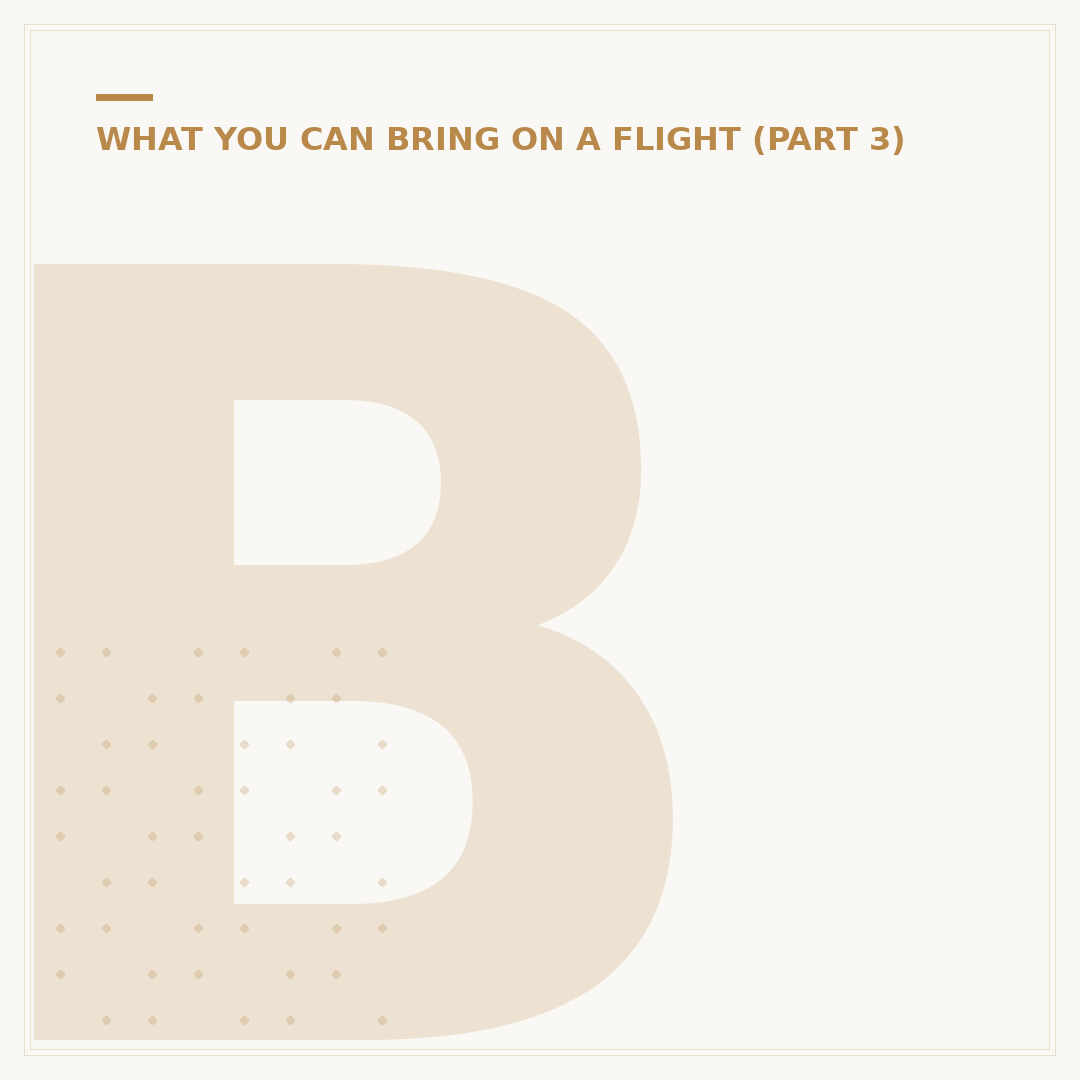 Bags Not Allowed on Flights: What You Can't Carry