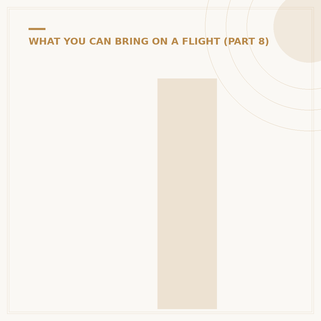 International Flights: Can You Take Beef Sticks Aboard?