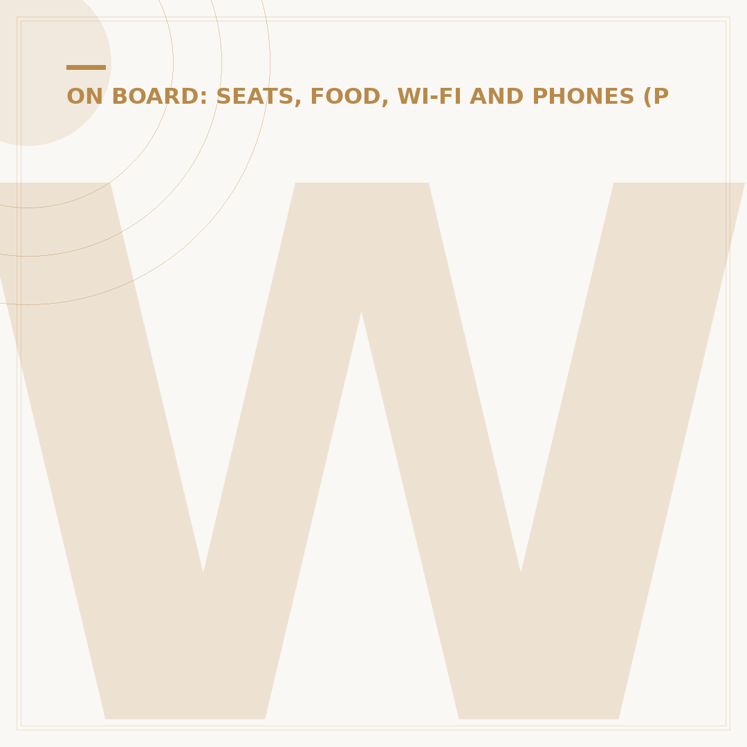 What is Cabin in Flight? Understanding Aviation Terminology
