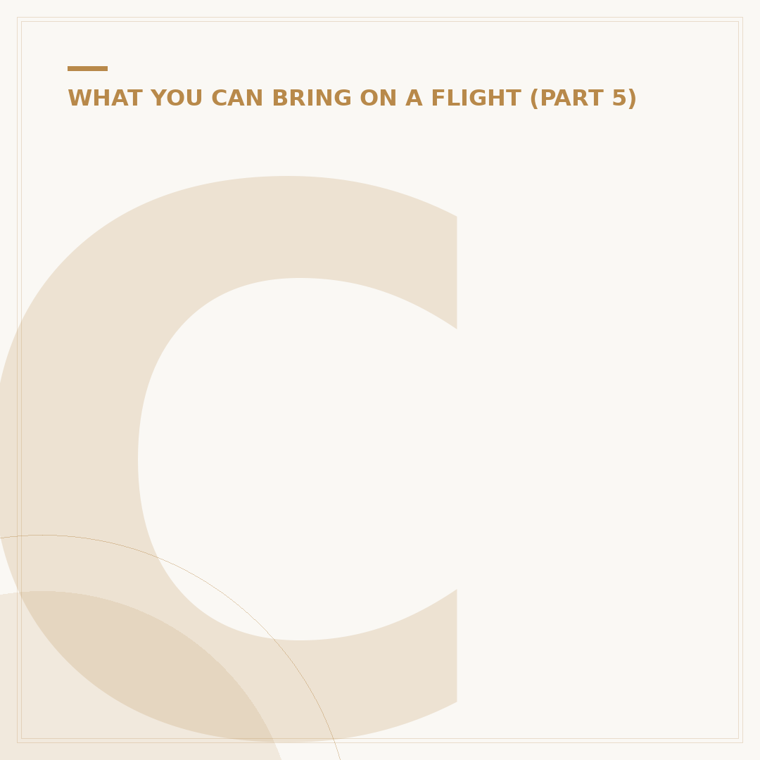 Can I Carry Silver on an International Flight?