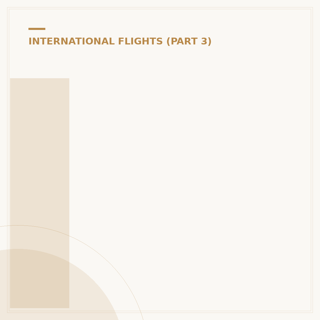 International Flight Customs: Before or After Your Arrival?