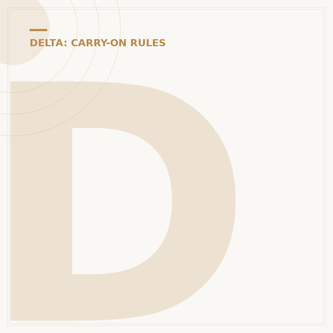 Delta Flight Umbrella Policy: Can You Bring One?