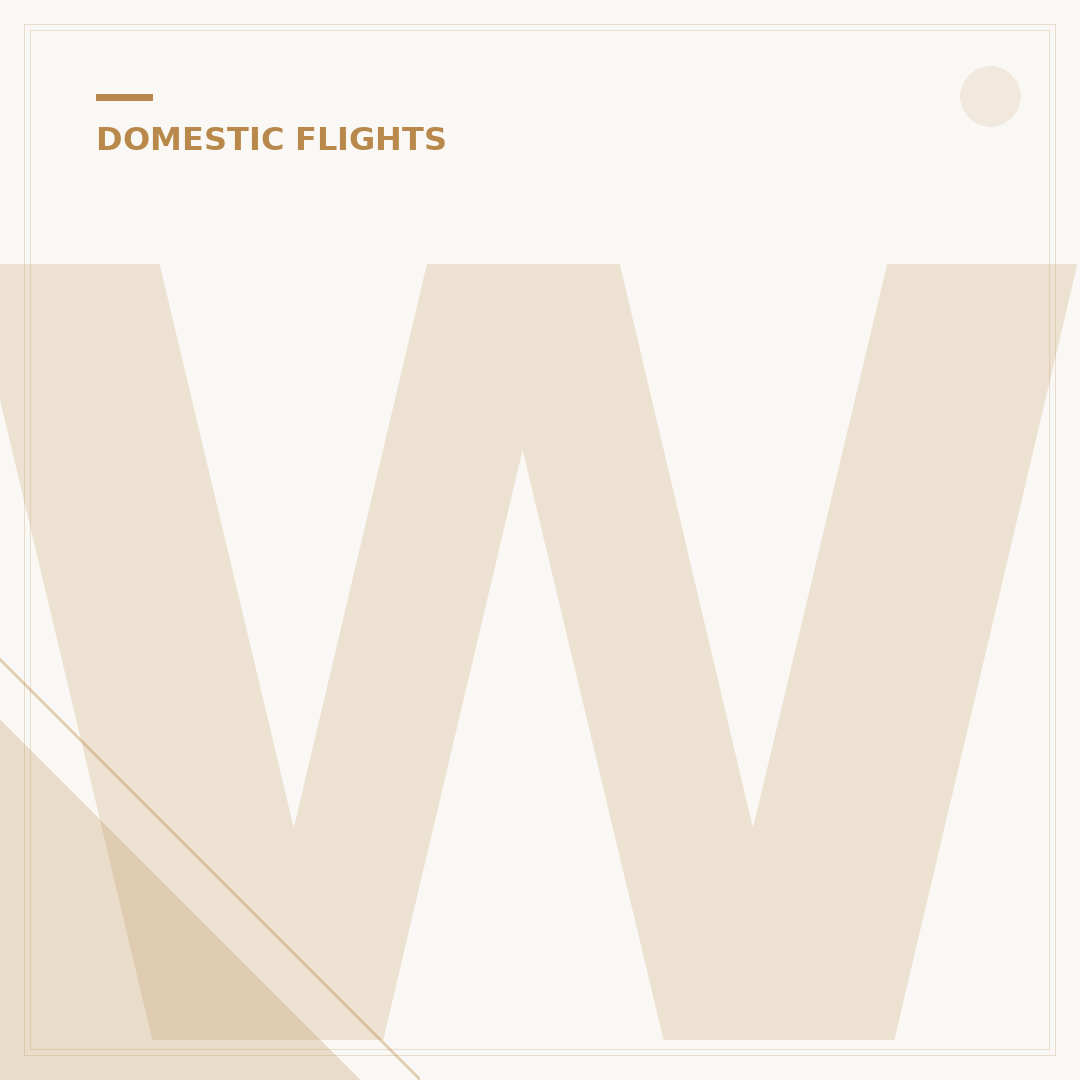 What Documents Do I Need to Take a Domestic Flight?