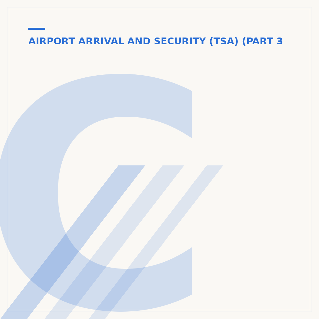 Can You Take a Domestic Flight Without a Real ID?