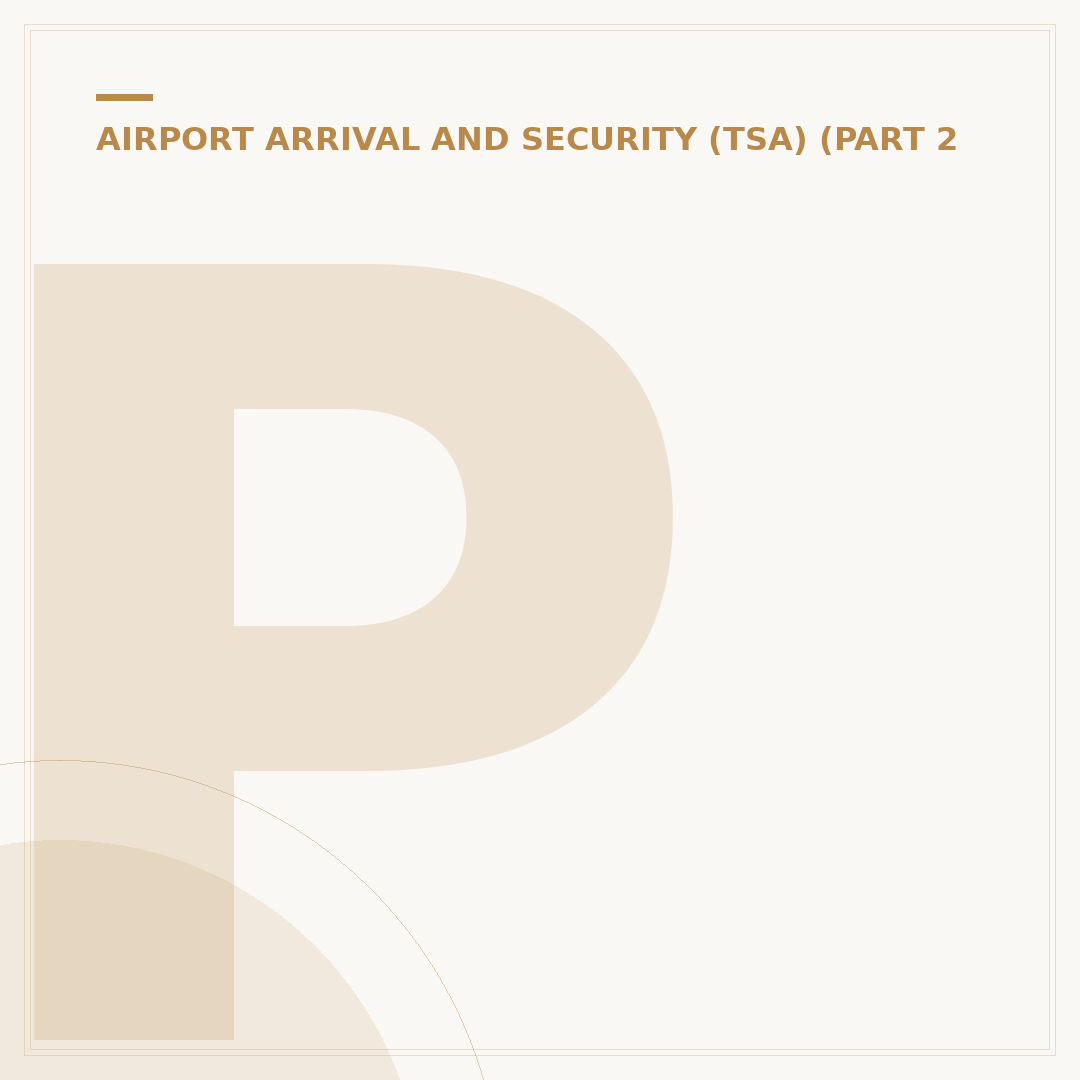 Philippines Domestic Flight Terminals: Which to Use