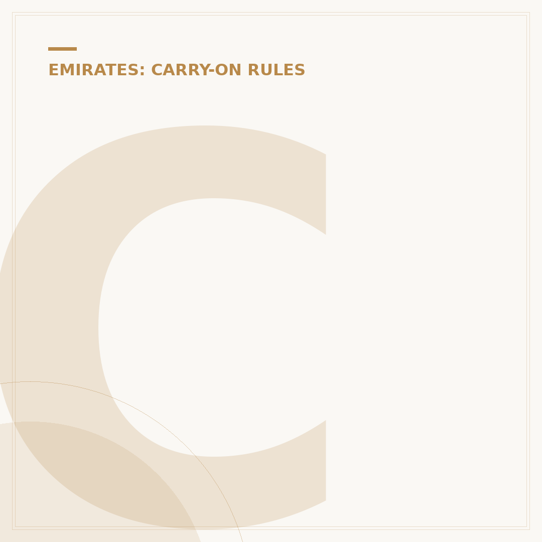 Can I Carry Power Banks on Emirates Flights?