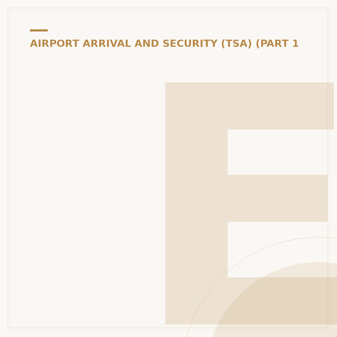 European Flight Airport Arrival: How Early to Plan?