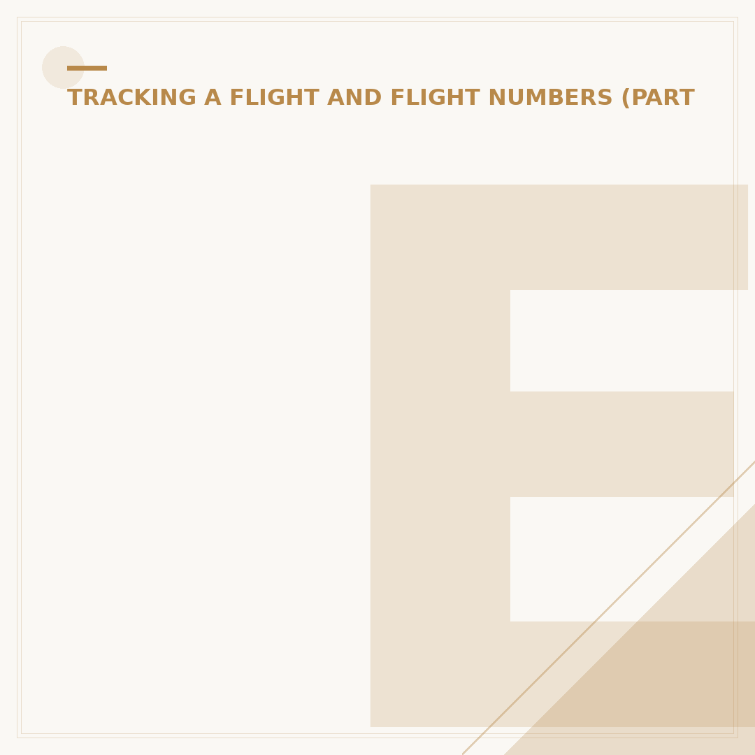 Etihad Flight Number: How to Find and Use It