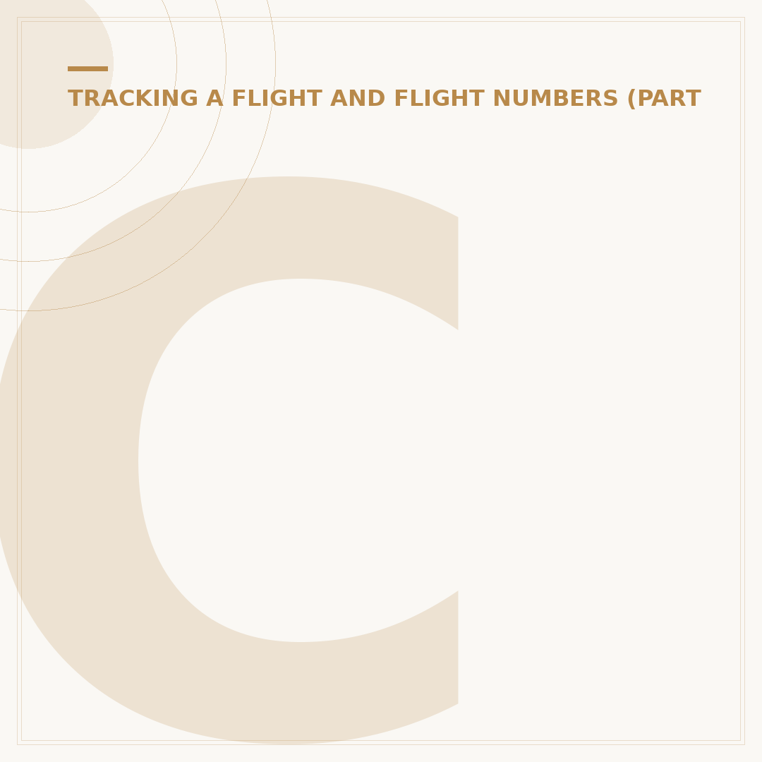 Can You Find Out If Someone Boarded a Flight?