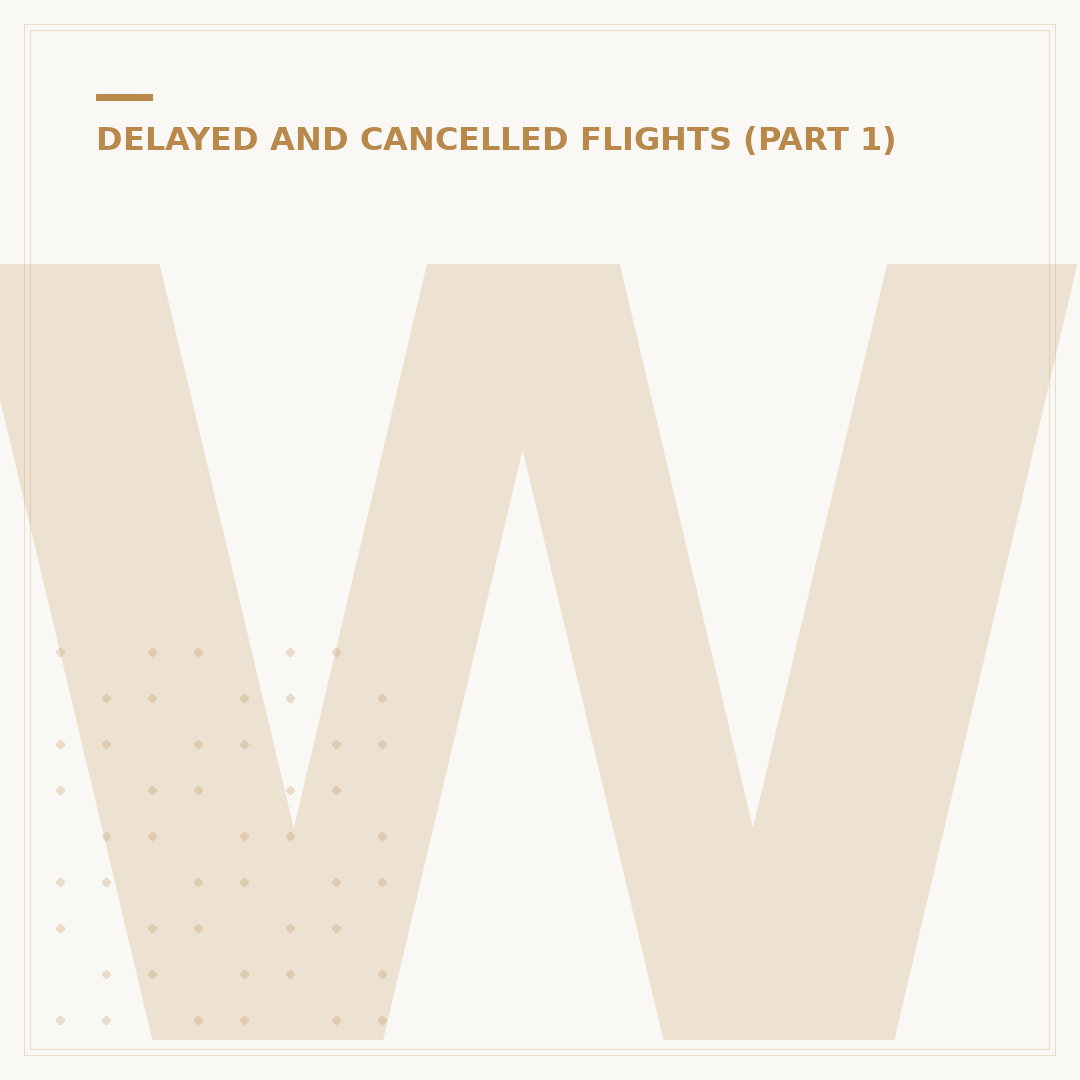 What Happens When a Flight Is Cancelled?