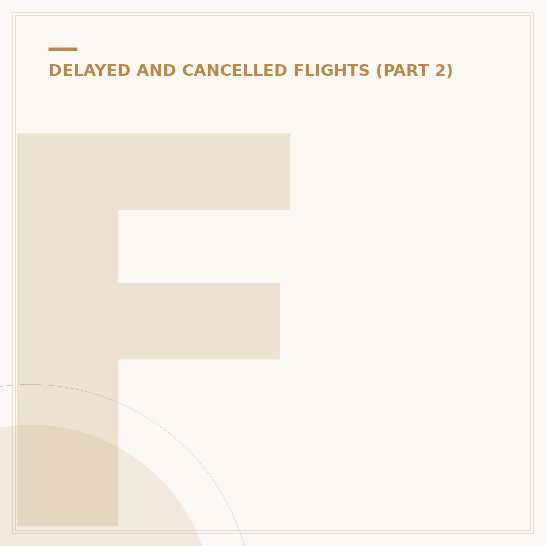 Flight Delayed Due to Weather: What Happens Next?