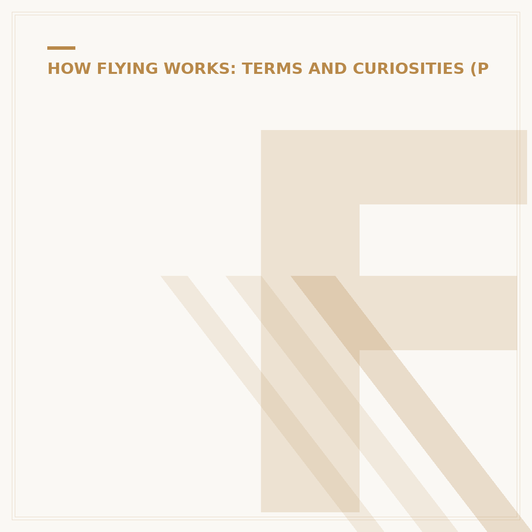 Flight Document Number: What It Is & How to Find It