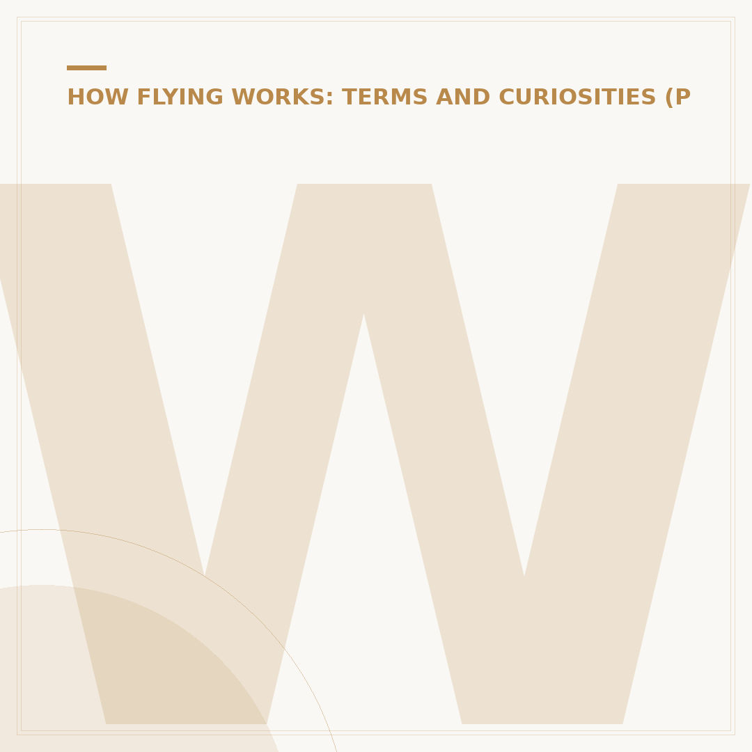 What Does Request Flight Following Mean for Pilots?