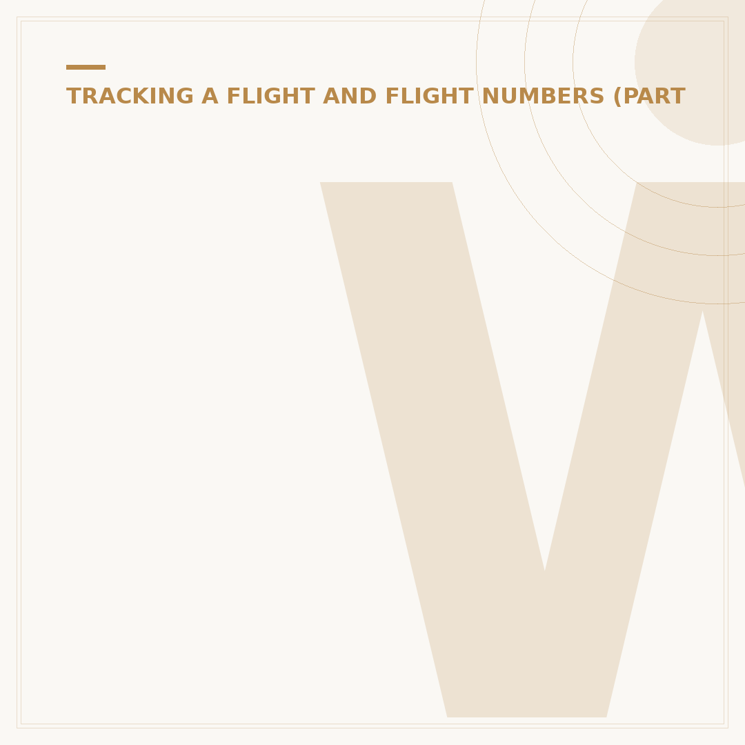 What Does a Flight Number Look Like? Explained