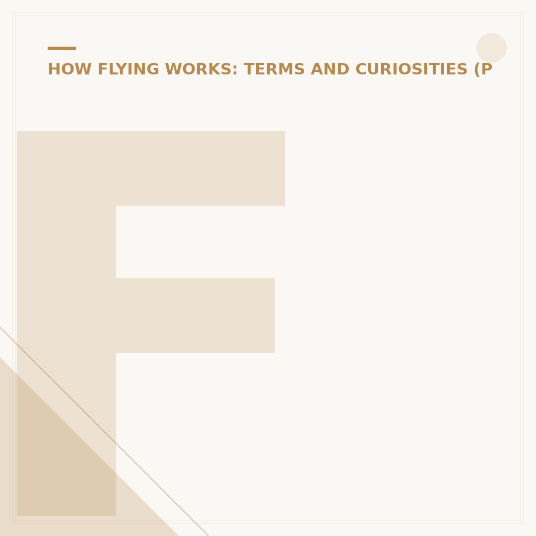 Flight Requirements: What You Need for Air Travel