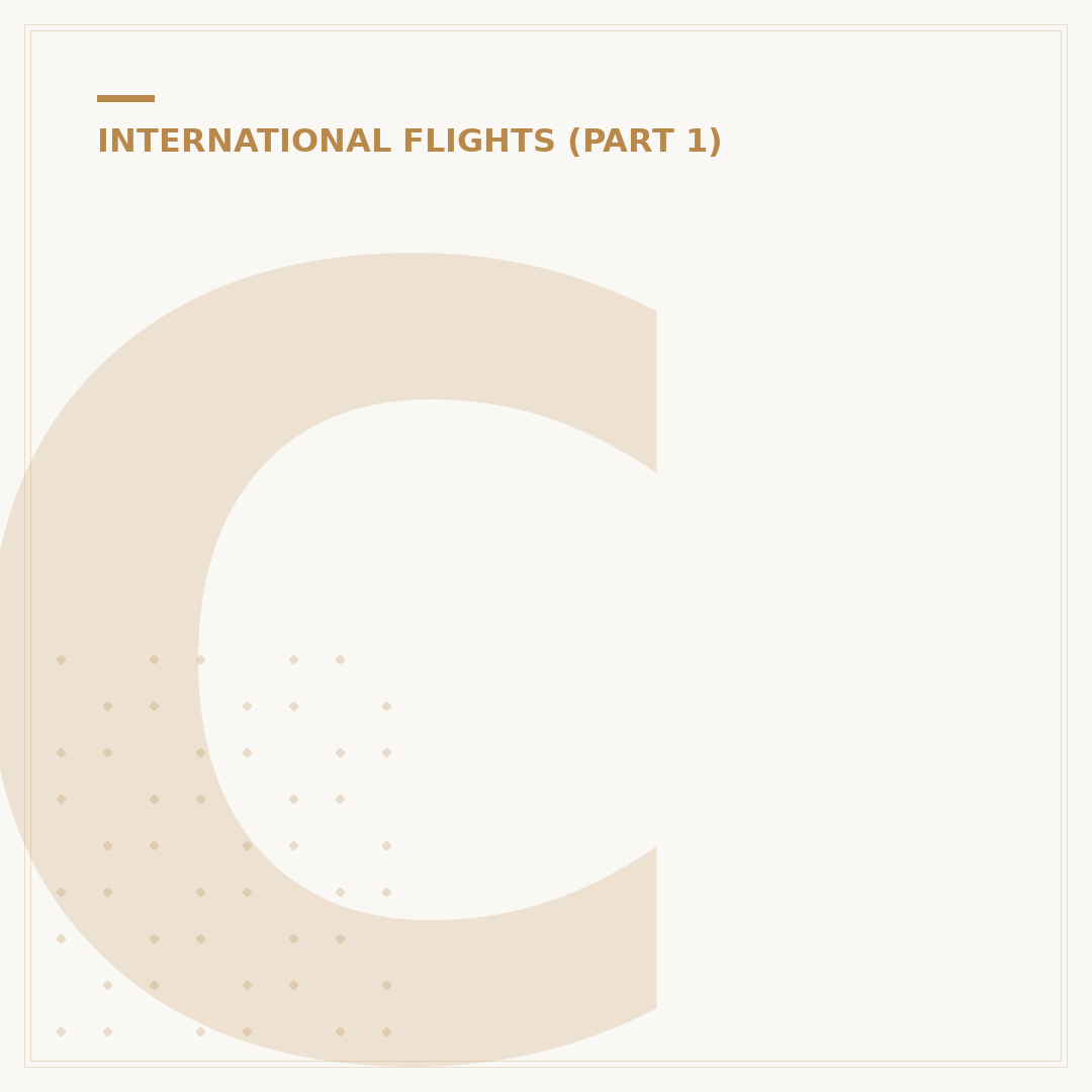 Can You Take a Flight Without a Passport?