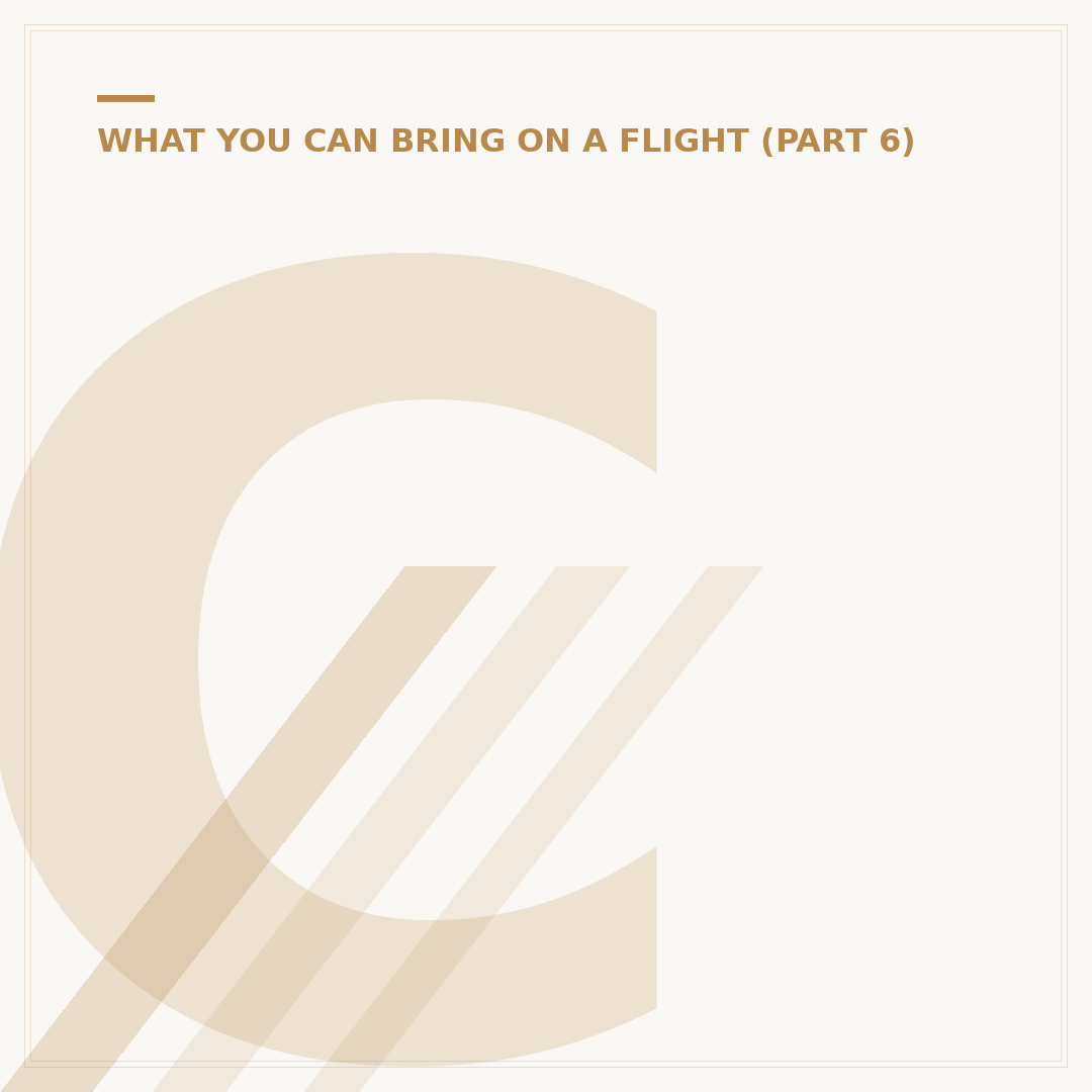 Can We Carry Heater in Flight? Airline Rules Explained