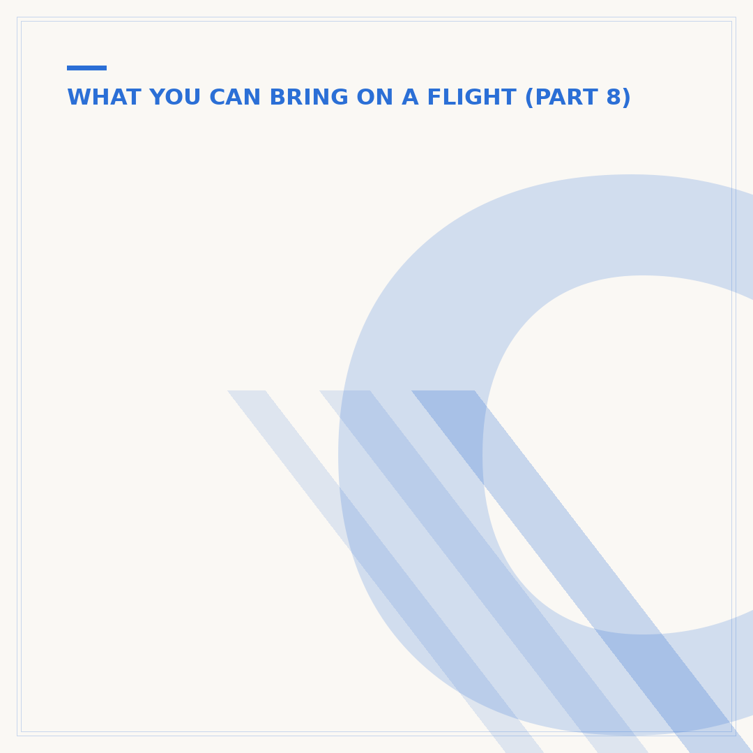 Can We Take Home Made Food on a Flight?