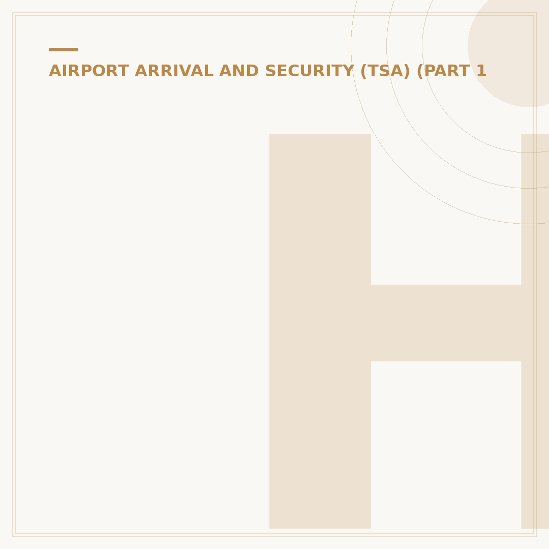 How Early to Arrive for a Domestic Flight