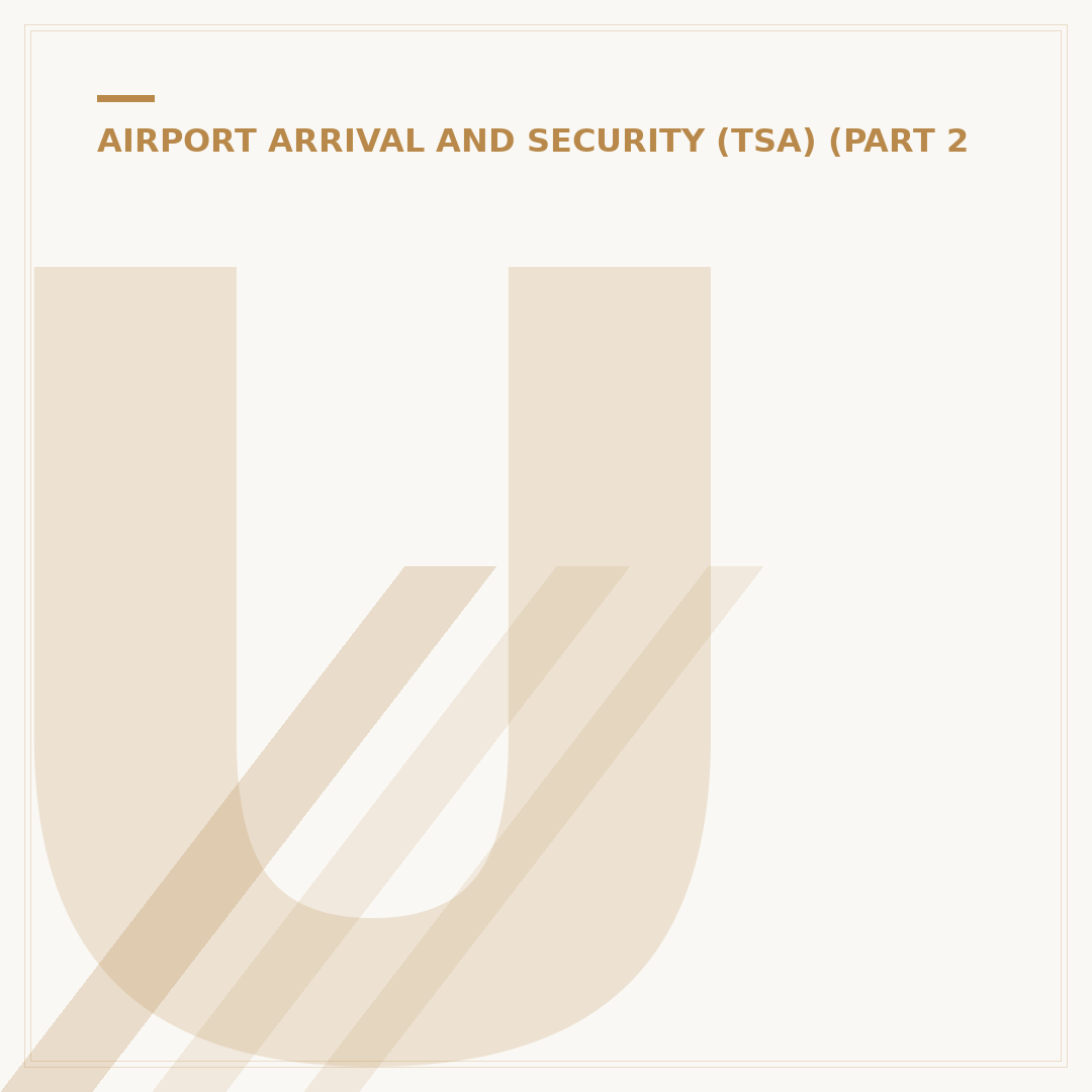 US Domestic Flights: How Early to Arrive at the Airport