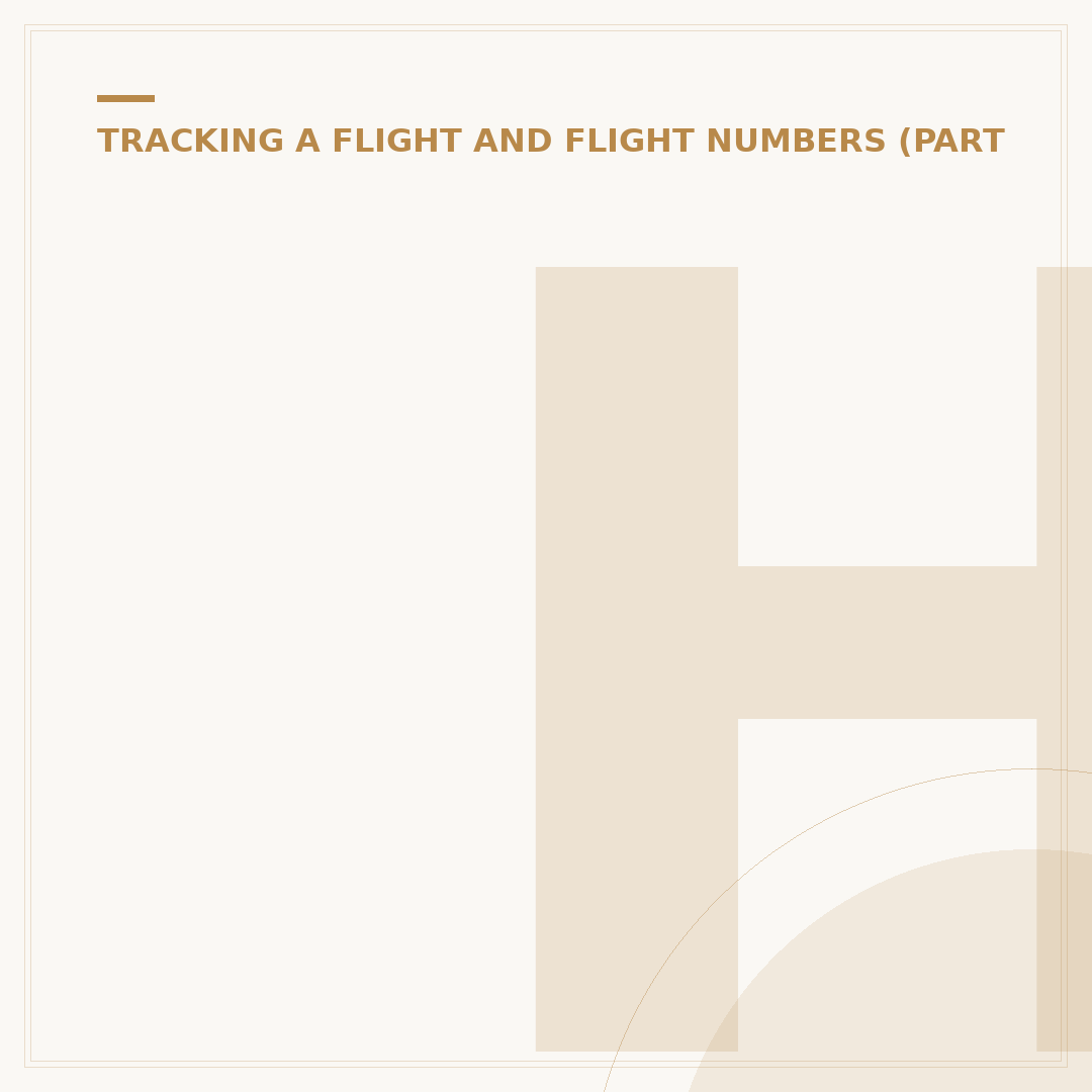 How to Check Flight Details