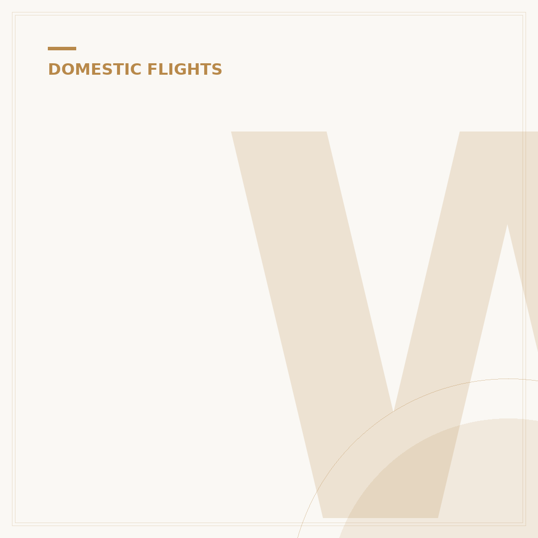 What Information Is Needed to Book a Domestic Flight?