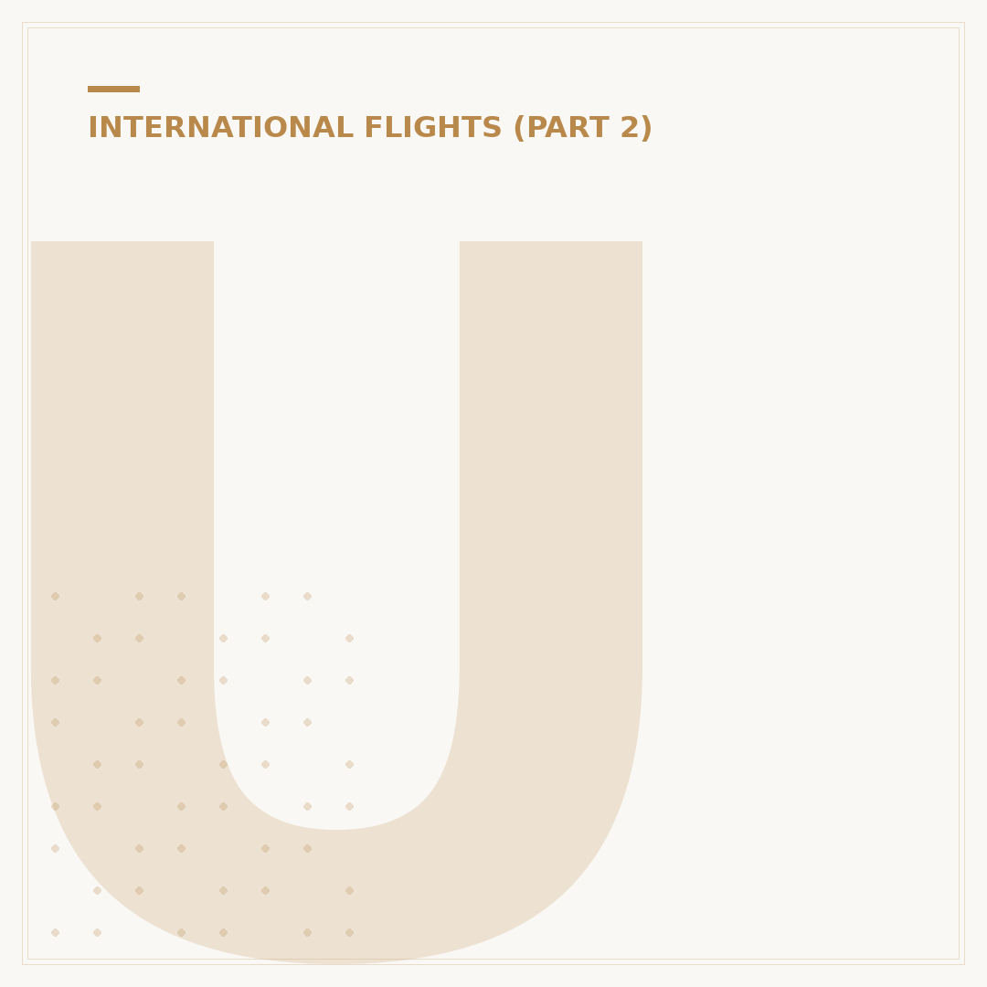 Understanding the International Flight Process