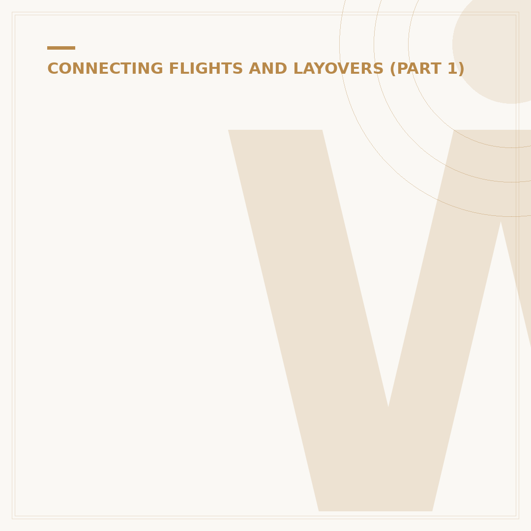 What to Do During a Layover Flight