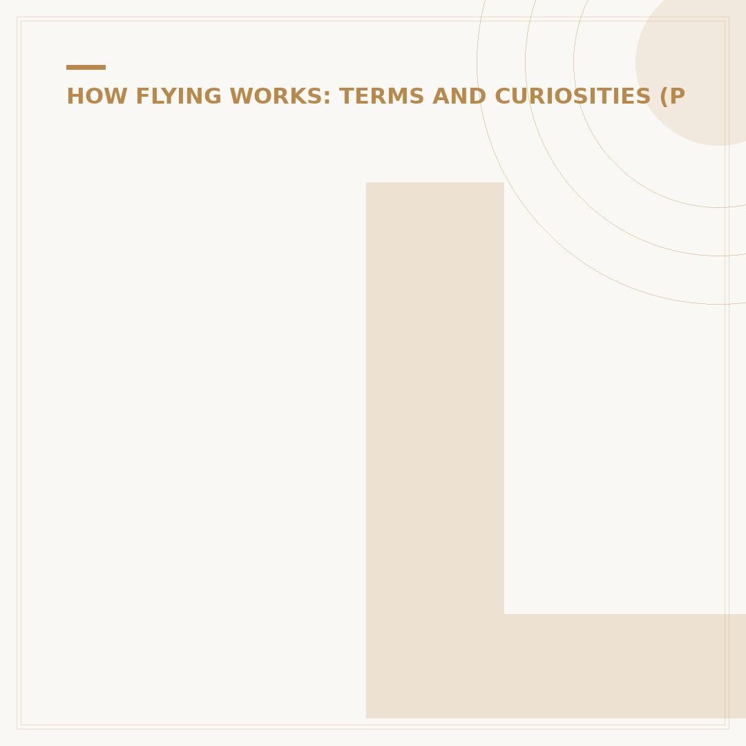 Longest Flight from SFO: Route, Duration, and Planning