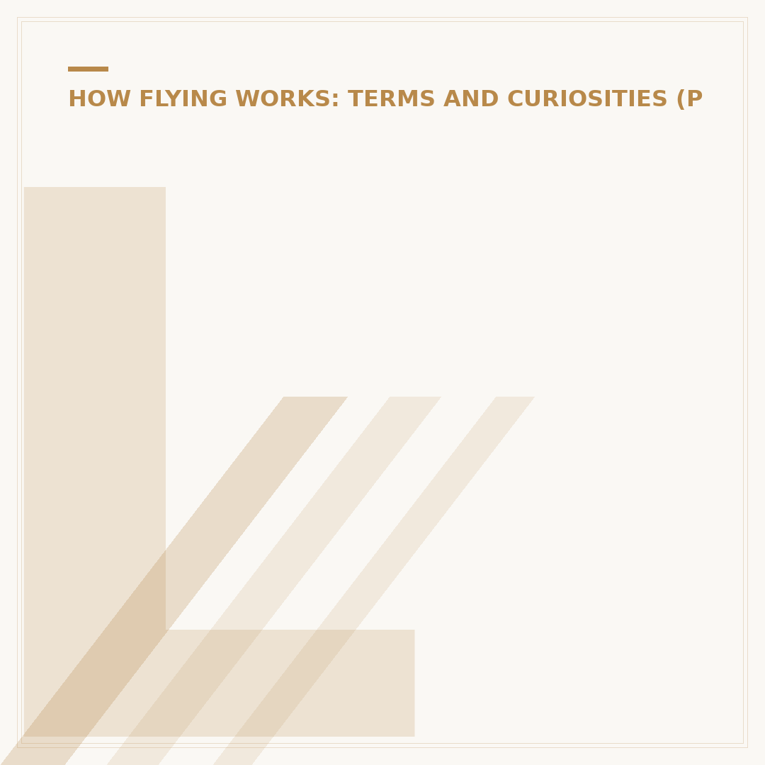 Longest Flight from Houston: Routes & Duration