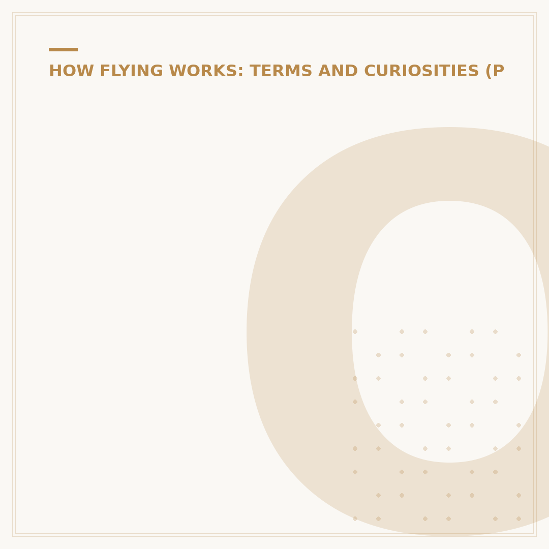 Operational Issues on a Flight: What They Mean