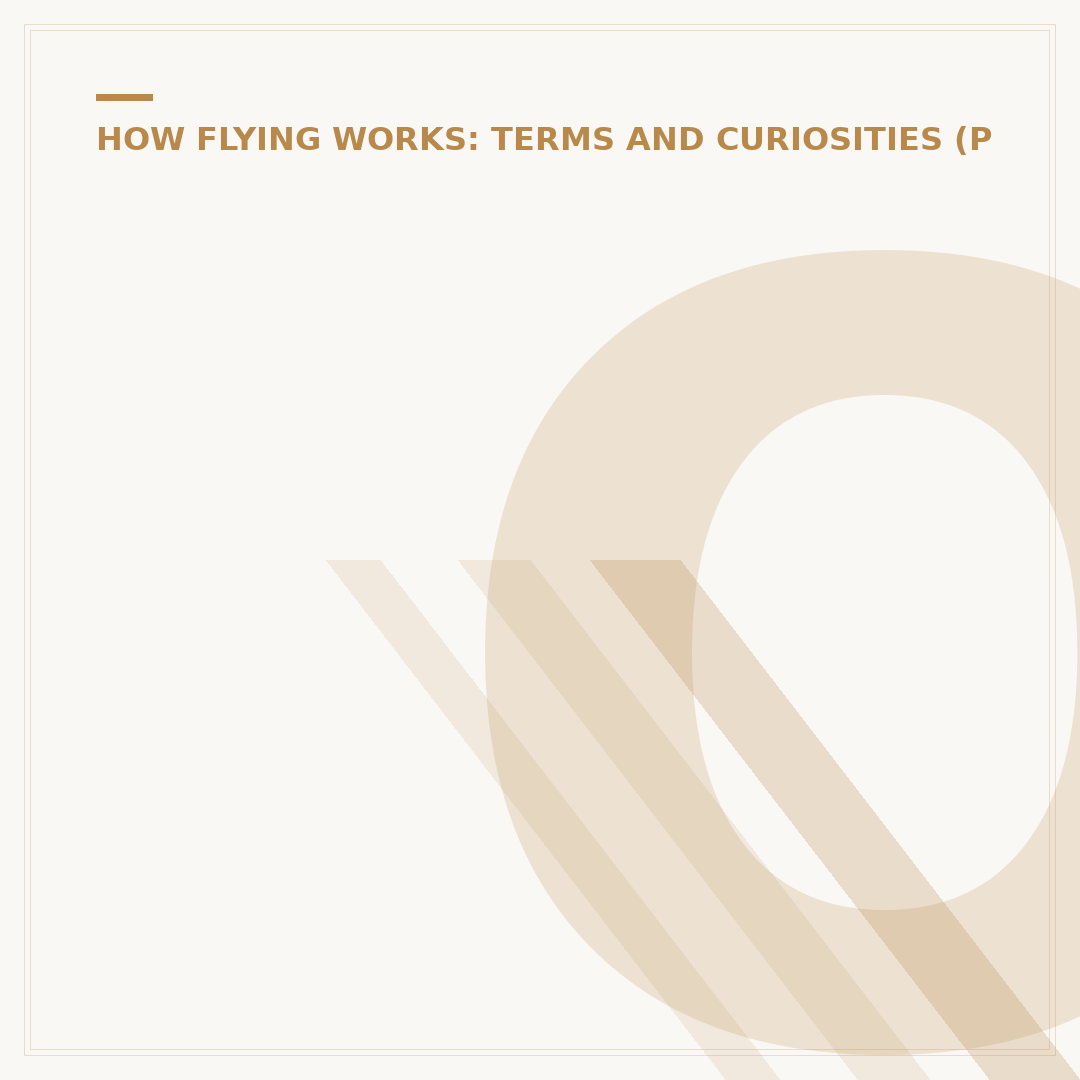 Origin of Flight: What Use is Half a Wing?