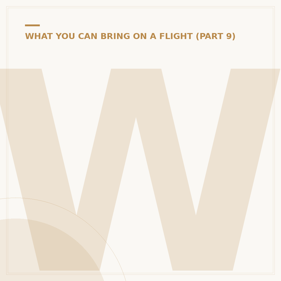 Where Do You Pack Aerosols on a Flight?