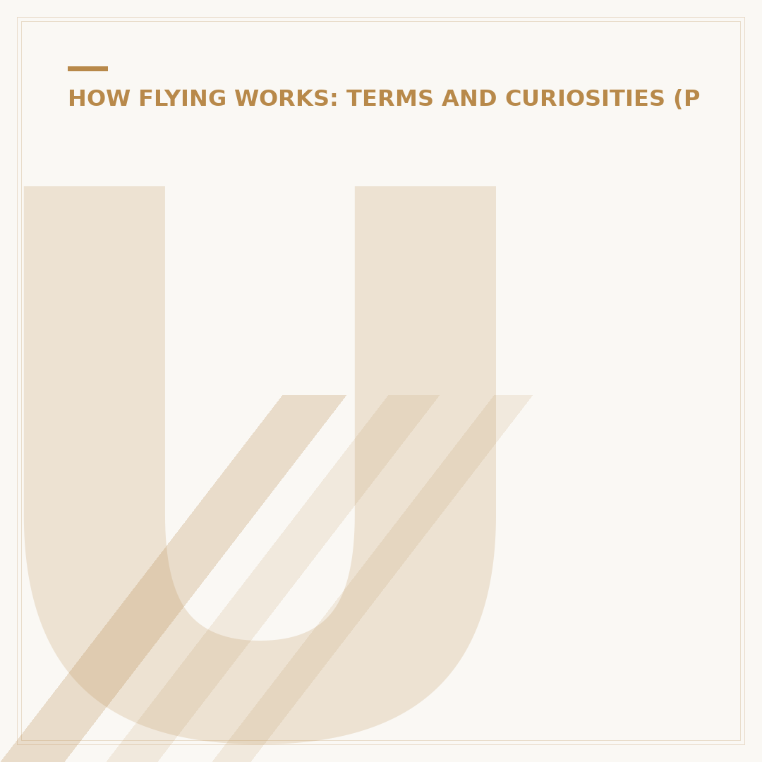 Understanding the Phases of Flight