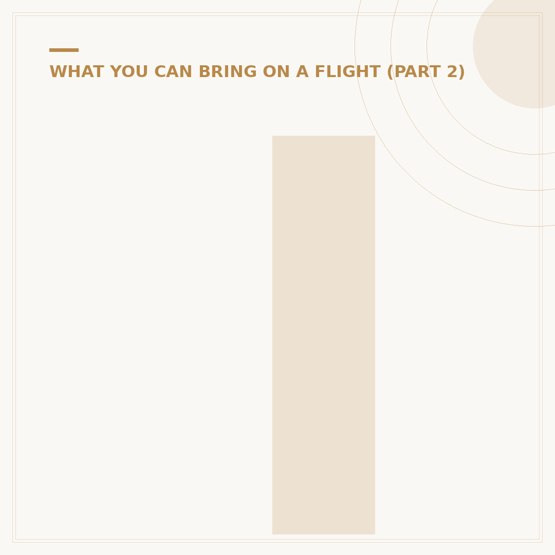 Is a Power Bank Allowed to Carry in Flight?