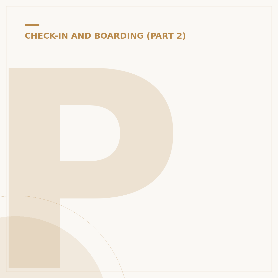 Prohibited Items on Board a Flight: What You Can't Bring