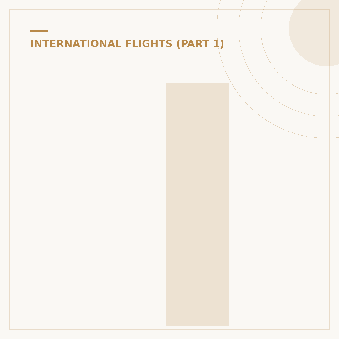 Is a Flight to Puerto Rico Considered International?